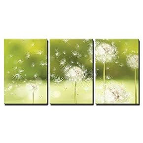 Vector Spring Background with White Dandelions x3 Panels