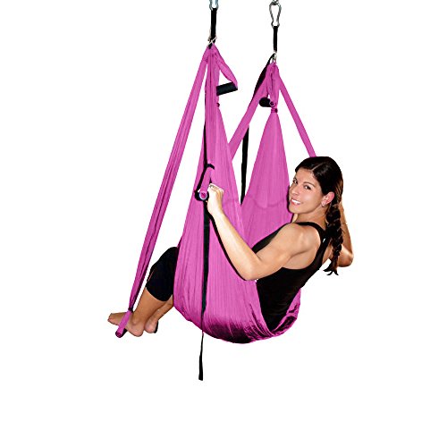AGPTEK Deluxe Aerial Yoga Inversion Sling Hammock for Aerial Yoga, Flying Antigravity-Pink