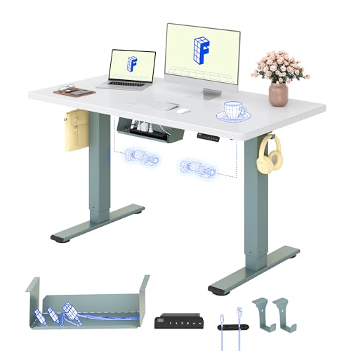 FLEXISPOT Höhenverstellbarer Schreibtisch elektrisch, Doppelmotor 120x80 cm