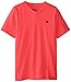Hurley Big Boys' Staple V-Neck Tee