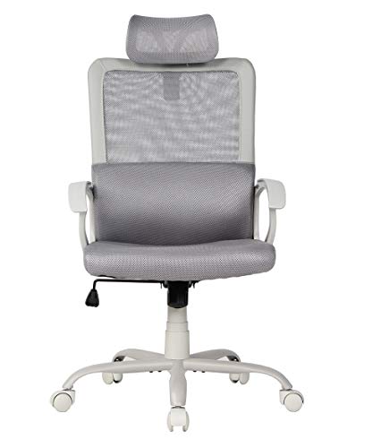Smugdesk Ergonomic Office Chair, High Back Mesh Desk Office Chair Adjustable Headrest Computer Task  - //coolthings.us