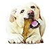 Nylabone Healthy Edibles Natural Dog Chews Long Lasting Chicken Flavor Treats for Dogs, Large/Giant (1 Count)