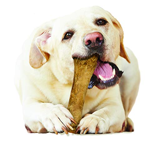 Nylabone Chicken Dog Treats - Image 5