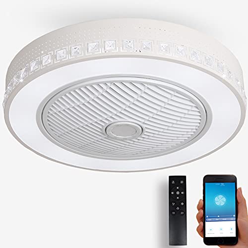 DewShrimp Flush Mount Ceiling Fan with Light, APP and Remote Control