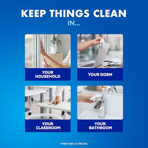 LYSOL DISINFECTING WIPES BUNDLE, HOME APARTMENT DORM ROOM ESSENTIALS AND CLEANING SUPPLIES, ALL PURPOSE CLEANER, MULTI-SURFACE CLEANING WIPES, MULTI-SCENT SANITIZING WIPES BUNDLE, 80 COUNT (4PK)
