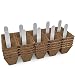 Seed Starter Peat Pots Kit | Germination Seedling Trays are Biodegradable and Organic | 10 Plastic Plant Markers Included | 5 Pack - 50 Cells primary