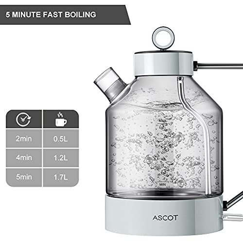 Electric Kettle, ASCOT Electric Tea Kettle 1.6L 1500W Glass Electric