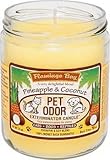Pineapple Coconut Pet Odor Candle