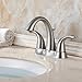 Spring Two-Handle Bathroom Faucet with Drain Assembly and Faucet Supply Lines, Brushed Nickel,14262