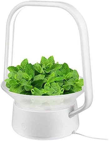 Vegebox スタイリストスマートled水耕栽培システム 屋内led照明 ハーブ園植物発芽キット