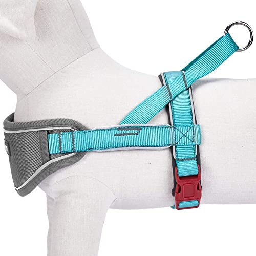 Blueberry Pet 8 Colors Soft & Comfy 3M Reflective Strips Padded Dog