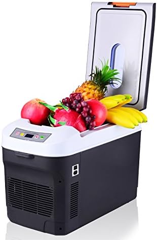 RIRI Portable 25L Mini Fridge Cooler and Warmer for Home,Office, Car or Boat AC & DC (Gray)