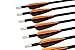 TTAD 12PCS 28-Inch Carbon Arrows Hunting & Practice Archery For Compound Bow and Recurve with 100 Grain Replaceable Field Points Tips
