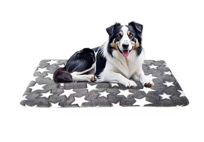 Photo 1 of Dog Bed mat Pet mat Dog Box mat Machine Washable Grey (26x20x1.5in)