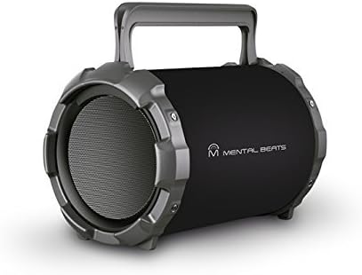 Jaras BIGRock Party Portable Karaoke & Bluetooth Speaker Indoor Outdoor Active Hi-Fi HD Sound Supports USB/SD/AUX/Mic Inputs FM Radio, 6" Sub + Built in Rechargeable Battery Power Bank 2600mah
