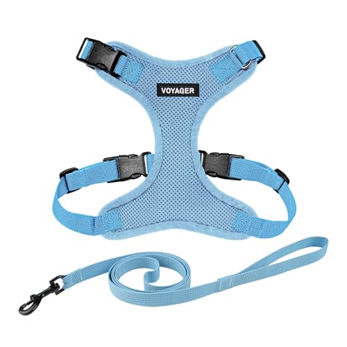 Voyager Step-in Lock Cat Harness and Reflective Cat Leash with Neoprene Handle by Best Pet Supplies - Supports Small, Medium and Large Breed Cats, Baby Blue, size XS - 5ft