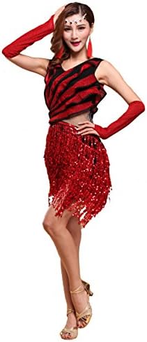 WOLIMAI Women's Sexy Fringe Tassel Ballroom Salsa Costumes Tango Latin Rumba Dance Dress