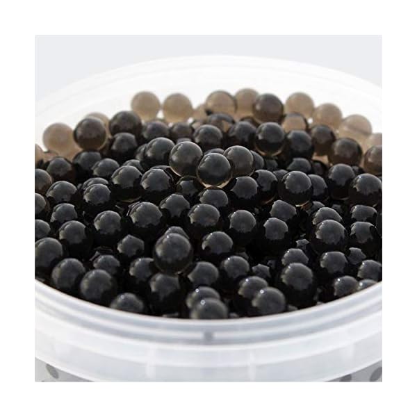 Evolution-Aqua-Pure-Pond Evolution Aqua Pure Pond