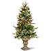 National Tree Company Pre-lit Artificial Christmas Tree For Entrances | Includes Pre-strung White Lights and Stand | Colonial - 4 ft, Green