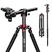 ZOMEi 75'' Tripod,Camera Tripod for DSLR,Ball Head Tripod Professional Tripods 4 Section Horizontal Tripod with 360 Degree Ball Head Plate for Canon DSLR DV Scope Camcorder and Projector