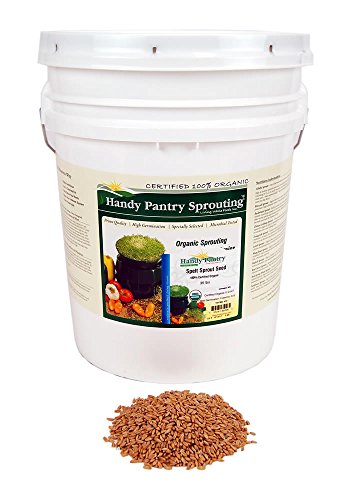 Organic Spelt: 35 Lbs - Non-GMO Grain Seeds - Flour, Bread, Baking, Cooking, Food Storage, Sprouting, Spelt Grass