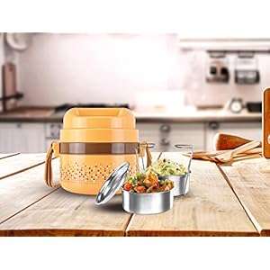 Milton Pioneer 2 Stainless Steel Tiffin Box, Set of 2, 300 ml, Brown