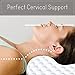 Milemont Memory Foam Contour Pillow, Bed Pillows for Back, Stomach, Side Sleepers - Relieve Neck Pain with Washable Removable Cover, CertiPUR-US
