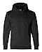 Champion Double Dry Action Fleece Pullover Hood