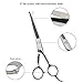 Wellbro Stainless Steel Dog Grooming Scissor Kit, Set of 2 Professional Pet Trimming Shears with Round Tips, Includes 1 Serrated Blade Scissor and 1 Regular Scissor, Suitable for Dogs, Cats and Pets