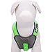 Blueberry Pet 4 Colors Soft & Comfy Summer Hope 3M Reflective Padded Dog Harness Vest, Chest Girth 18.5