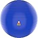 Lazy Monk Exercise Ball 55cm / 65cm, Black/Blue Color - Fitness Desk Sitting Chair, Pregnancy Ball Stability Anti-Burst, Yoga Workout Pilates Balance Gym Physio Ball w/Pump, Excersize Swiss Ball