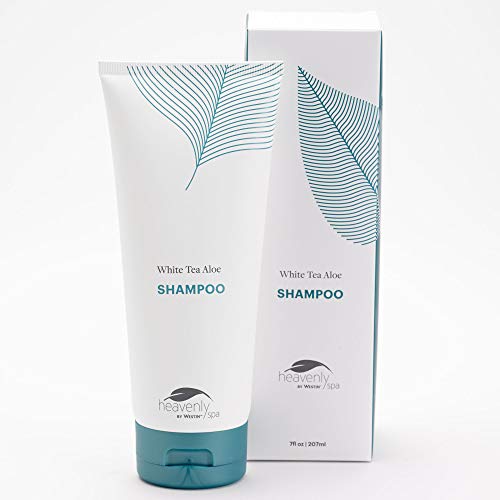 Westin White Tea Aloe Shampoo Vitamin and AntioxidantPacked Shampoo for All Hair Types