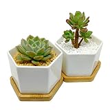4-Inch Hexagonal White Ceramic Succulent Planter with Bamboo Tray | Set of Two | Minimalist Design