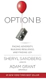 Option B: Facing Adversity, Building Resilience, and Finding Joy