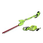 GreenWorks 22272 G-MAX 40V 20-Inch Cordless Pole Hedge Trimmer, 2Ah Battery and Charger Included