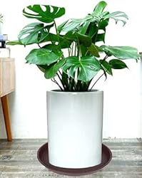 Bleuhome 6 Pack of 12 inch Plant Saucer, Heavy Duty