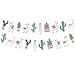 Llama Party Supplies Party Banners - Mexican Fiesta/Cino De Mayo Llama Cactus Baby Shower/Birthday Party Decorations - Alpaca Succulent Bolivian Peru Party Home Decorations