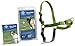 PetSafe Easy Walk Harness for Dogs - Pull-Free Walks - Patented Martingale Loop Design - Front Chest Leash Attachment - Comfort Straps - Breathable Harness Design - X-Large, Apple Green/Gray