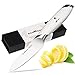 Godmorn Paring Knife Fruit Knife 3.5 Inch Forged Peeling Knife - German Stainless Steel Blade + Straight Edge + Spear Point, White Handle, Paring Fruit Vegetable Skin Peeling Slicing Cutting …