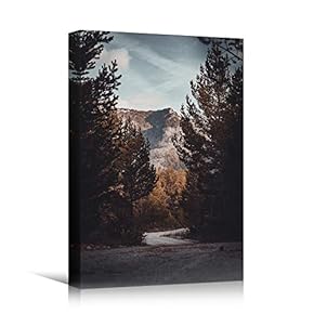 signwin Canvas Wall Art Autumn Dramatic Forest Landscape...