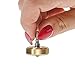 LIONSPIN - Spinning Top Mark2 | Raw Handmade Spin Top for Man or Women | Collectible Toy for Kids and Adults | Small Magic Wood Box | Stainless Steel, Brass and Steel Ball