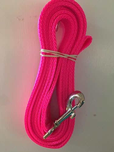 Carter Pet Provide 6 Ft Canine Leash Double Ply USA Made Swivel Snap