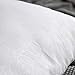 MIULEE Pack of 2, Decorative Pillow Insert Polyester Cotton Indoor White Adjustable Throw Pillows for Sofa Bed 18