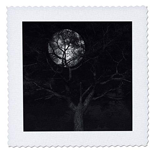 3dRose Garden Flag, Full Moon and Tree Digital Art