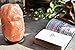 Hazantree Jhelum Coral Pink Himalayan Salt Lamp (5-8 lbs)- Pink Salt Rock Lamps Made in Pakistan, hymalain salt lamps, himilian salt lamp,Himilian Sea Salt Crystal Light with Dimmer Switch