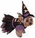 Forum Novelties Witch Pet (Promo) Costume, Small