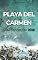 Livro PLAYA DEL CARMEN GUIA DE VIAGEM 2026