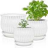 Yesland Ceramic Flower Plant Pots with Saucer, Set
