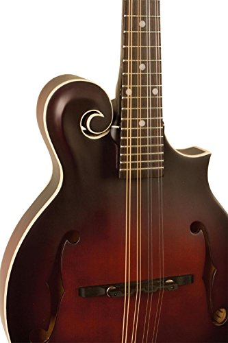 4 Loar+LM+310F+BRB+Honey+F+Style+Mandolin