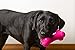 Hartz DuraPlay Bacon Scented Dog Toys, Large ( Color May Vary )